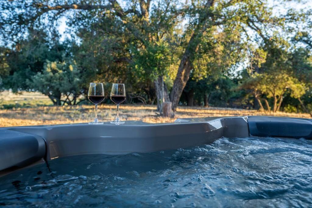 הוילה בורגו ספרינגס Country Cowboy Hot Tub Hideaway On 20 Acres מראה חיצוני תמונה